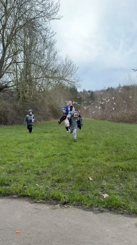 Feeding the Ducks Gone Wrong, uk - 23 Feb 2026 Stockbeeldmateriaal 332364041
