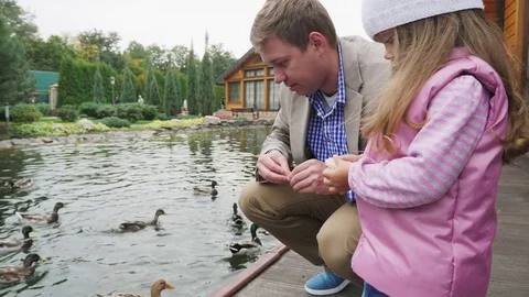 Feeding the ducks in the lake Stock Footage 80655732