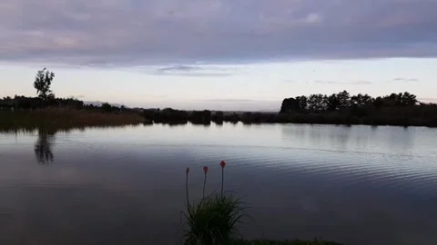Feeding the ducks at sunset with lake in background Stock Footage 140134137