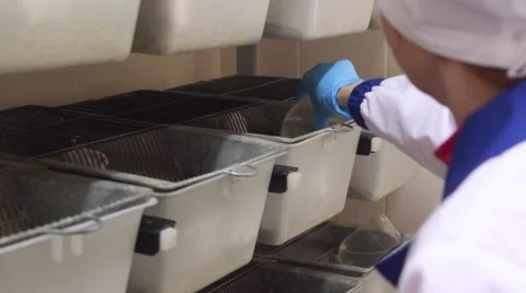 Feeding of experimental white mice in cages. Laboratory 库存影片 68077326