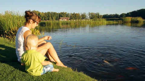 Feeding the Fish in the Lake Video stock 67565599