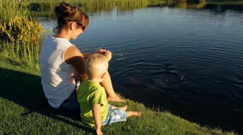 Feeding the Fish in the Lake Stock Footage 67565643