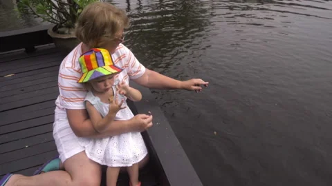 Feeding fish in the pond Stock Footage 166389065