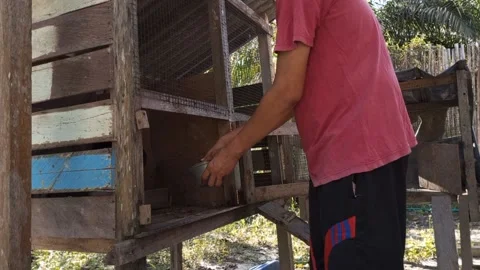 Feeding Video stock 200839414