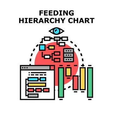 Feeding hierarchy chart analyzing data and processes Stock Illustration