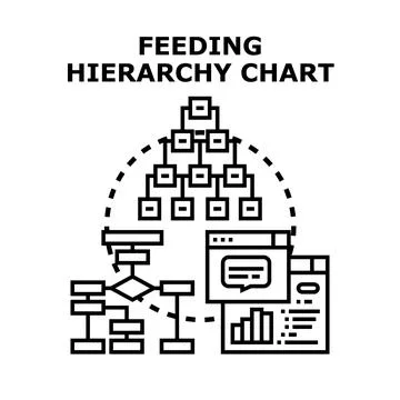 Feeding hierarchy chart concept for business structure Stock Illustration