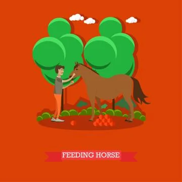 Feeding horse vector illustration in flat style Stock-Illustration