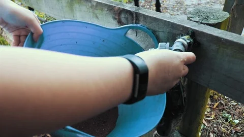 Feeding the horses. 스톡 동영상 91084551