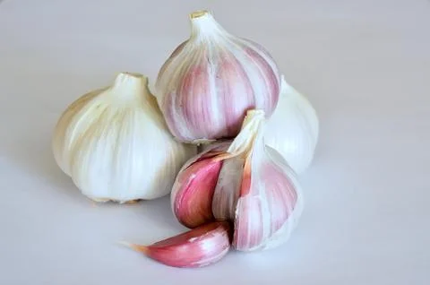Feeding Stock Photos