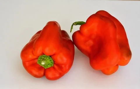 Feeding Stock Photos