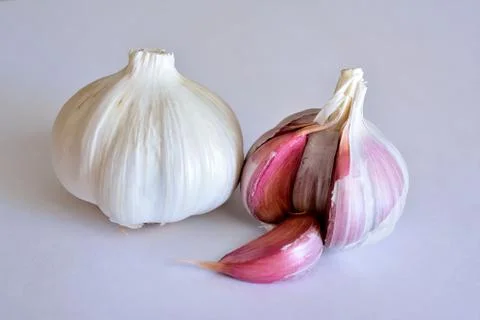 Feeding Stock Photos