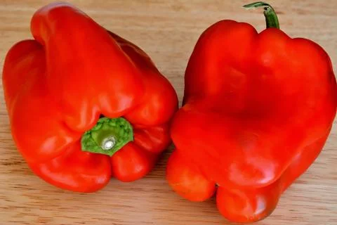 Feeding Stock Photos