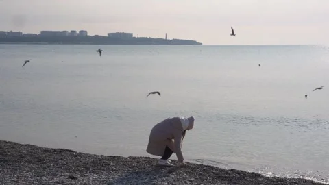 Feeding seagulls on the seashore Stock Footage 307385317