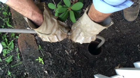Feeding snake down main sewer drain from house Stock Footage 41777050
