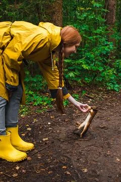 Feeding squirrel Stock Photos