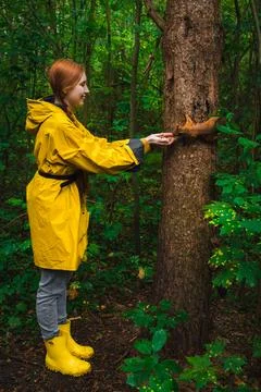 Feeding squirrel Stock Photos