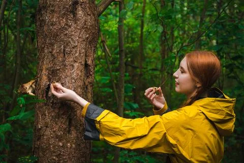 Feeding squirrel Stock Photos