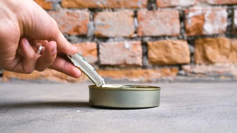 Feeding a stray red cat Video stock 129030116