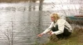 Feeding swans HD Footage