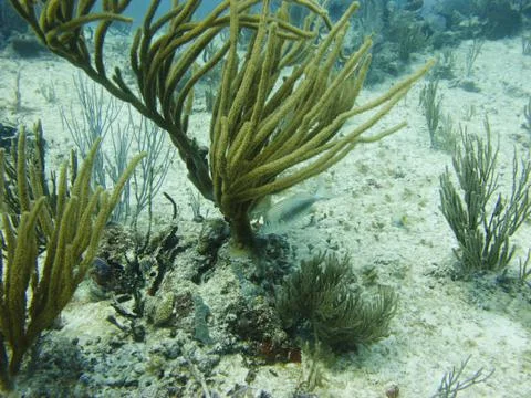 Feeding time Foto stock