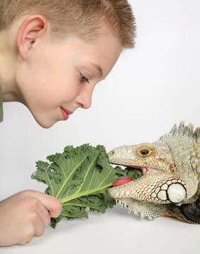 Feeding time Stock Photos