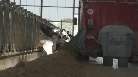 Feeding trailer 库存影片 133314177