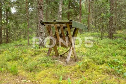 Feeding trough for animals in the coniferous forest Stock Photos