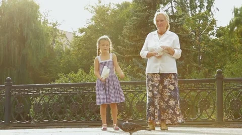 Feeding Wild Doves Stock Footage 52736097