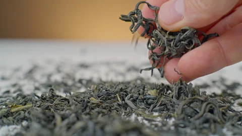 Feel and touch the dry green tea with your fingers. Stock Footage 295047374