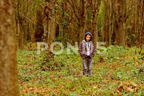 Feel the nature. Little boy play in forest. Little child have forest walk Stock Photos
