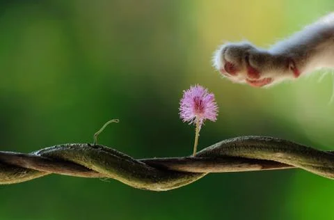 Feel Touch Stock Photos