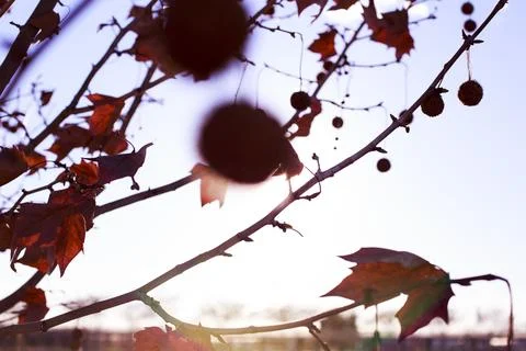 Feeling the beautiful spring sunset Stock-Fotos