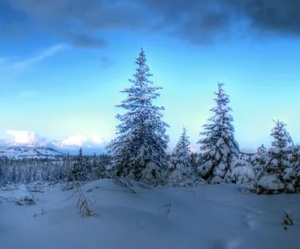 Feeling blue Stock Photos