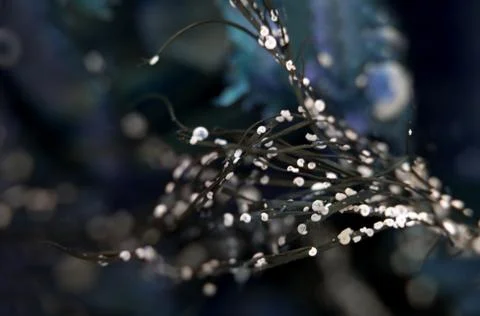 Feeling blue Stock Photos