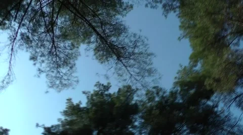 Feeling dizzy in the woods. Vídeos de archivo 47399329