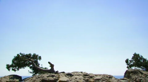 The feeling of flight Stock Footage 761900