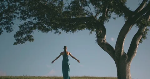Feeling free in nature Vídeo Stock 117210170