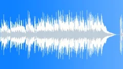 Feeling Thoughtful Upbeat Acoustic Rock 45 SecStock Music