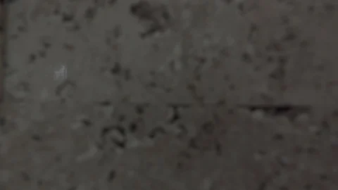 Fees to the party. Clothes Stock Footage 100039001