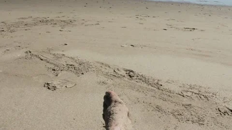 Feet on a Beach Stockbeeldmateriaal 11989977
