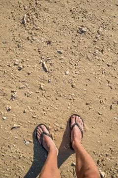 Feet on beach with seashells Stock Photos