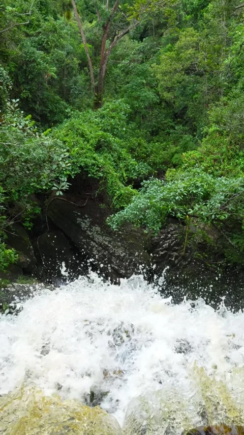 Feet in Clear Water of Natural Pool in Guaviare Video stock 336521253