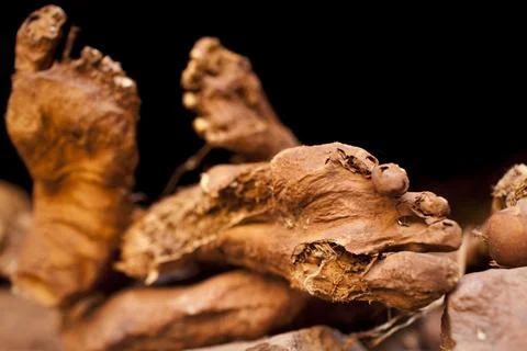 Feet of the devout emerge from the crypts of Bet Giyorgis, Lalibela, Northern Et Stock Photos
