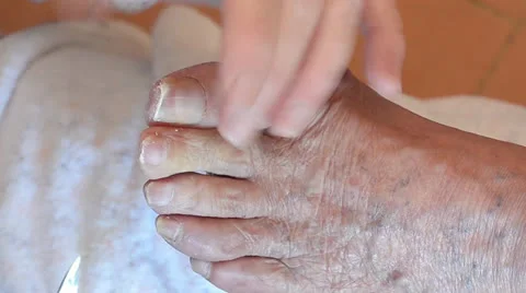 Feet Stock Footage 24557970