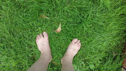 feet on the grass. barefoot on the lawn.... | Stock Video | Pond5
