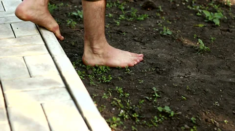 Feet On The Ground Stock Footage 38500024
