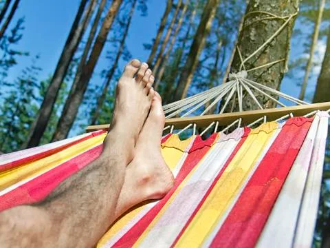 Feet in the hammock on a background of pine forest Stock Photos
