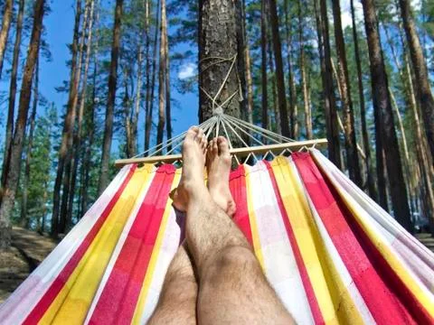 Feet in the hammock on a background of pine forest Stock-Fotos
