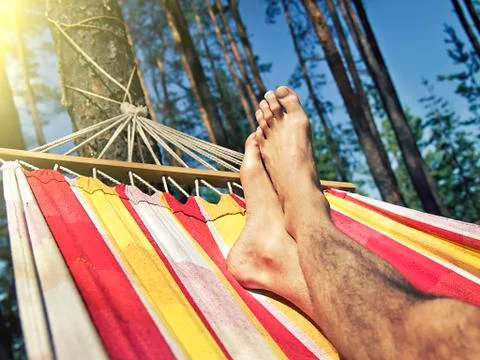 Feet in the hammock on a background of pine forest Stock-Fotos