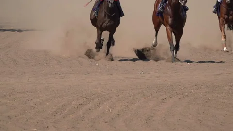 The Feet of the Horses at the Racetrack 库存影片 214958714